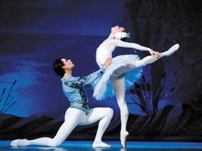 芭蕾舞资料,优雅与力量的艺术之旅